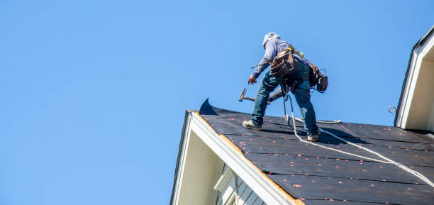Best Roof Waterproofing Services  in Blacksburg, VA